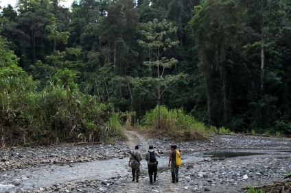 Mauricio, Filander (rangers), Reporter (danielle) walking in national park © James Sherwood - Bluebottle Films