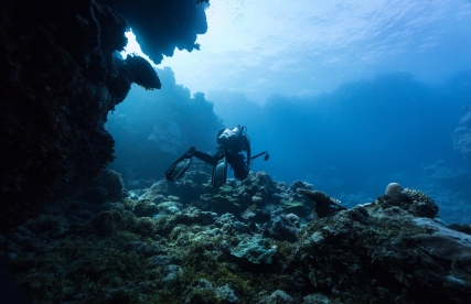 Julia Summerling, Mike Ball Dive, exciting a cave © James Sherwood, Bluebottle Films